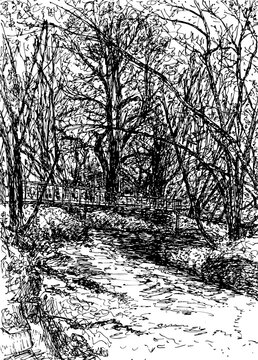 Autumn in the park - fountain pen drawing. A path with a fence running along  edge of riverbank, surrounded by trees with fallen leaves. A quiet and peaceful place to relax and enjoy nature