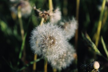 La vita in pochi secondi  © Francesco