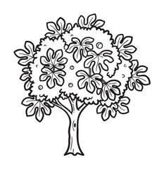 Obraz premium Black outline vector illustration of a lush tree featuring dense foliage and a sturdy trunk with distinctive leaf shapes.