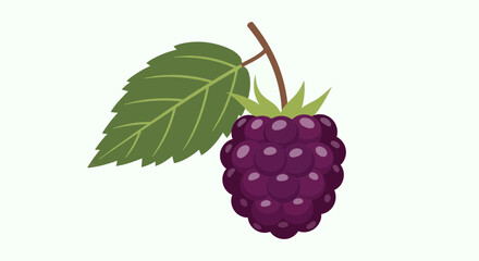Vibrant Illustration of a Fresh Blackberry Branch with Lush Green Leaf and Stem