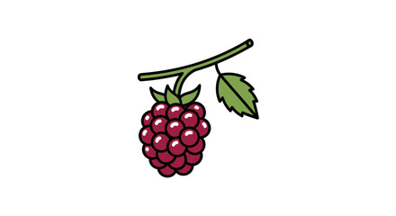 Vibrant Illustration of a Freshly Picked Raspberry on White Background with Foliage