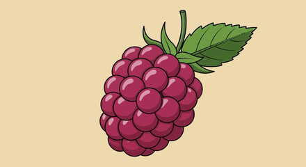 Vibrant Illustration of a Freshly Picked Raspberry Fruit on Neutral Background
