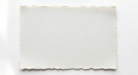 Vector illustration of blank textured paper with torn edges, isolated on white background