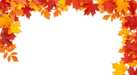 Autumn leaves frame isolated on transparent background for fall season design