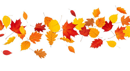Autumn leaves falling isolated on transparent background for seasonal decoration