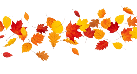 Autumn leaves falling isolated on transparent background for seasonal decoration