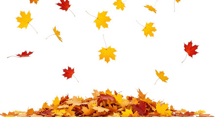 Falling autumn leaves isolated on transparent background with a pile of leaves