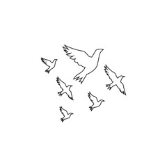 flying birds vector illustration, birds line art