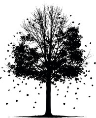 Silhouette of a deciduous tree in autumn with falling leaves.