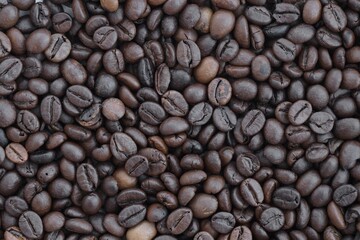 Coffee bean background in detail. Very big amount of brown coffee beans close up