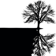 Silhouette of a bare tree with its reflection on a dark surface.