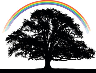 Silhouette of a tree under a vibrant rainbow.