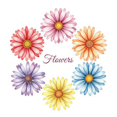 Fototapeta premium Colorful daisy flower wreath arrangement petals bloom nature floral graphic design isolated on transparent background