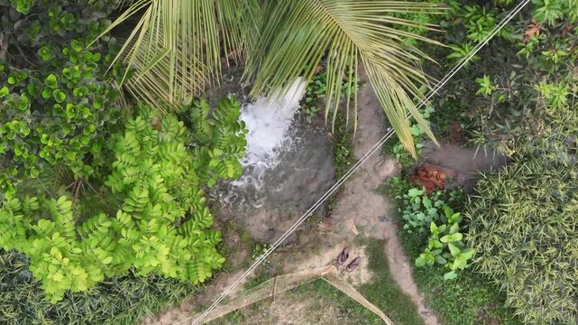Rustic Water Pump Surrounded by Green Fields, Bangladesh