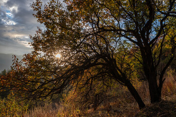 Fototapeta premium Autumn landscape in the mountains at sunset near Almaty, Kazakhstan.