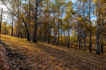 Autumn landscape in the mountains at sunset near Almaty, Kazakhstan.