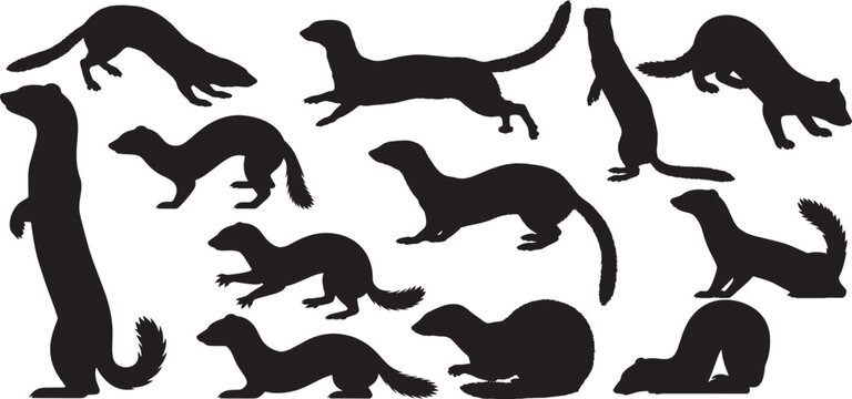 silhouettes of weasel set, ferret silhouette vector collection