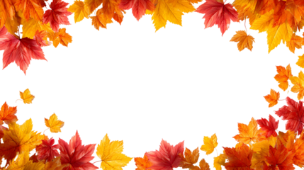 Autumn background design with scattered maple leaves for seasonal cards and posters