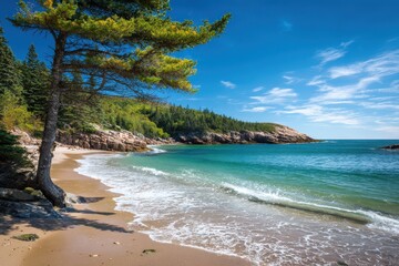 Fototapeta premium Maine Acadia National Park: Sand Beach - Beautiful Nature View of Ocean Coast