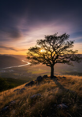 Solitary Tree on a Hilltop Overlooking a Vast Valley