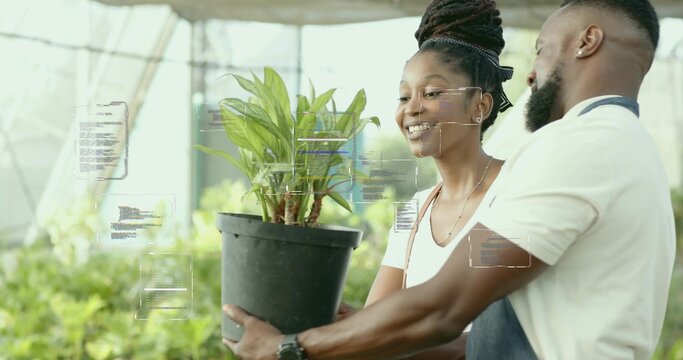 Inspecting potted plant inside greenhouse, coworkers in aprons viewing digital overlay data