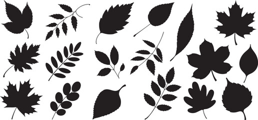 Set of black leaf silhouettes in different botanical shapes, autumn decoration, nature vector illustration