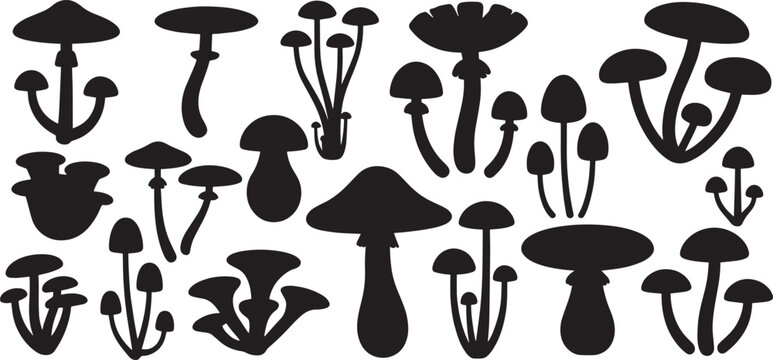 Mushroom silhouette set, illustrations in various styles, representing nature, fungi, and botanical concepts. vector