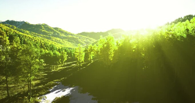 As sunlight breaks over the rolling hills, vibrant greens of trees and grasses come to life. A serene natural scene evokes tranquility in the peaceful wilderness at dawn.