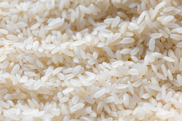 close up of rice