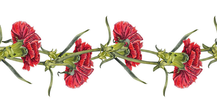 Watercolor seamless border red carnations and green stems in realistic botanical style. Illustration for floral borders packaging textile design greeting cards Memorial Day May 9 Spain and Portugal.