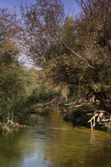 Serene river landscape with lush trees and calm water reflecting blue sky