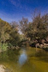 Scenic river winding through lush greenery under a clear blue sky in early afternoon light