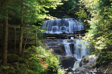 waterfall in the forest