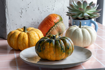 Decorative baby pumpkins on table.