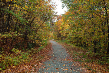 Path up the Mountains
