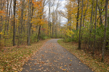 path in autumn forest