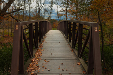 wooden bridge in the forest