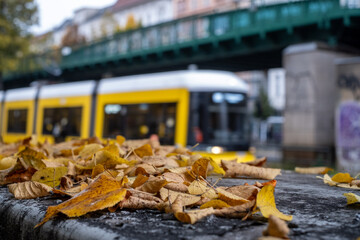 Autumn in Berlin