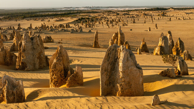 pinnacles in the desert of nambung national park, australia