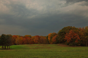 Autumn before the Storm