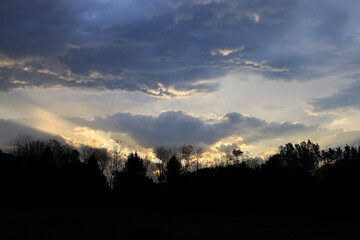 Sunrise in the Clouds