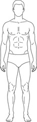 Male muscular body outline front view, vector drawing for anatomy study, art reference, fitness illustration, or fashion design template