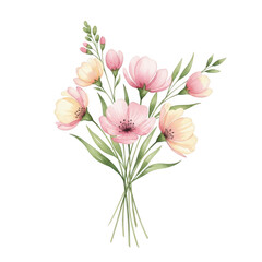 Fototapeta premium Delicate pink poppy floral arrangement with green stems and leaves on a dark canvas isolated on transparent background