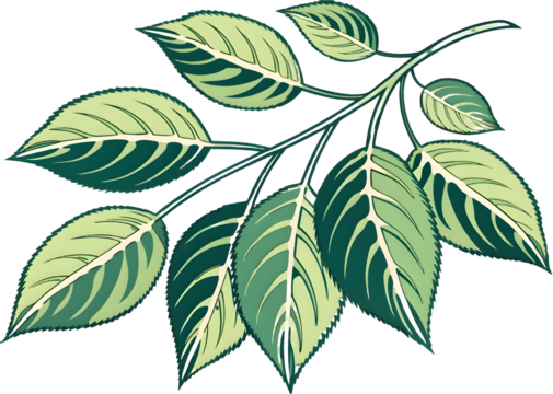 Variegated green leaves on a branch isolated on transparent background - Powered by Adobe