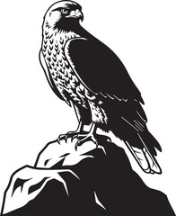 Majestic falcon perched on rocky outcrop detailed silhouette majestic bird of prey wildlife
