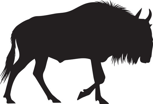 Majestic wildebeest silhouette majestic wild african animal profile standing side view
