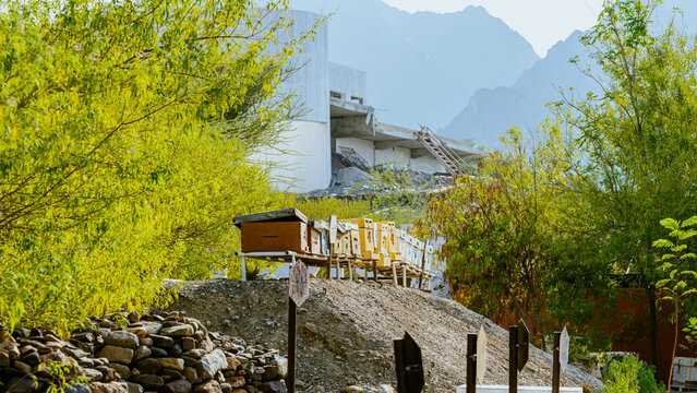 Beekeeper working collect honey. Beekeeping concept.