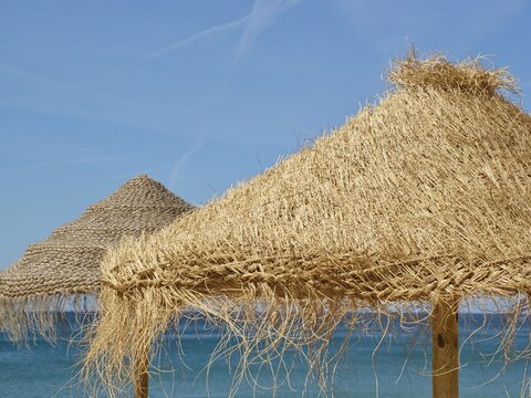 Straw parasols offering shade on a summer beach - Powered by Adobe