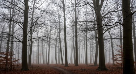 Misty Forest Path with Bare Winter Trees, and Autumn Leaves.