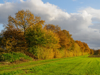 Fototapeta premium Sonniger Herbsttag im westlichen Münsterland